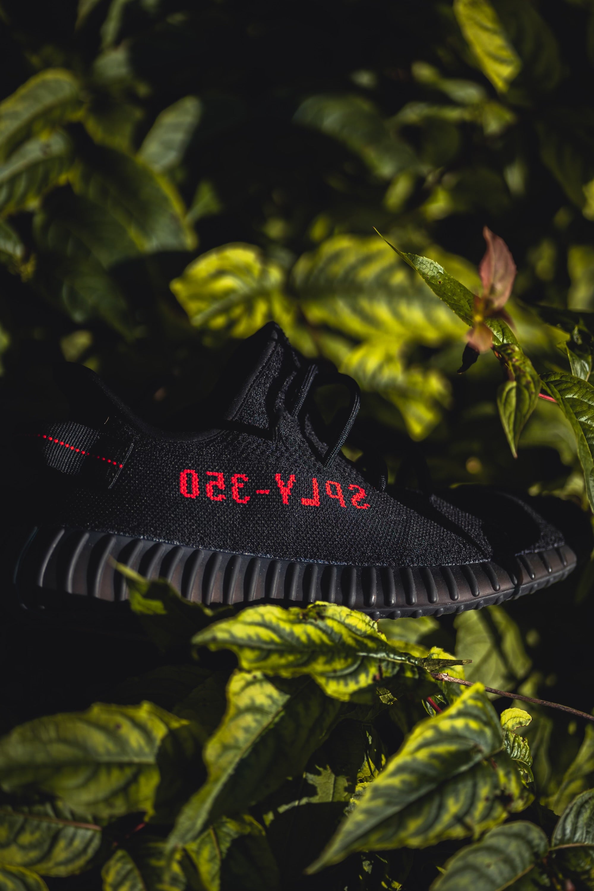 sneaker gallery jordan 1